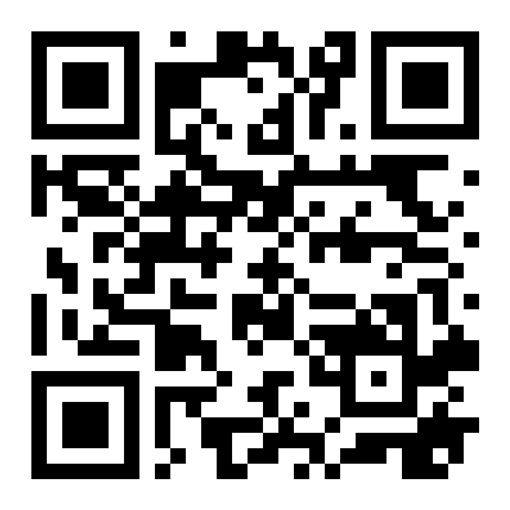 QR de la demo de Paladaria